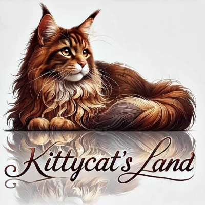 Chatterie des KittyCat's Land